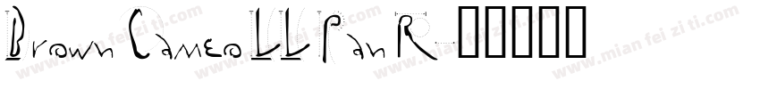 Brown Cameo LL Pan R字体转换